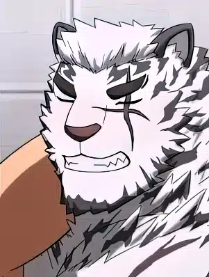 山——视频