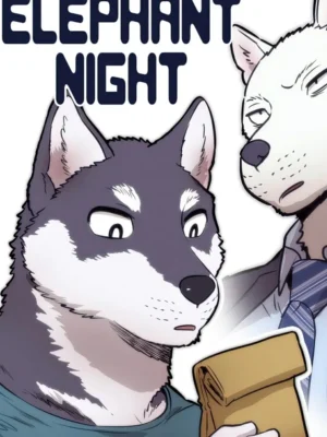 大象之夜