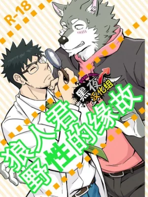 狼人君野性の缘故