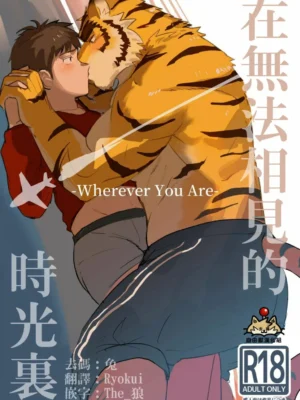 在无法相见的时光里