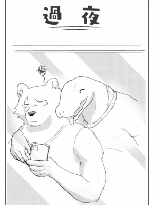 overnight(过夜)