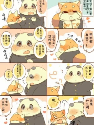 雷萨君和潘达君4