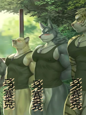 （无标题）