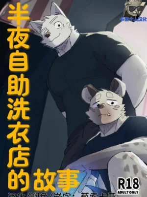 [Nicosando] 半夜自助洗衣店的故事 | Midnight Laundry