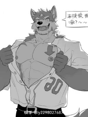 单图分享