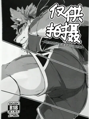 仅供拍摄