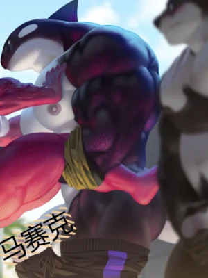 （无标题）