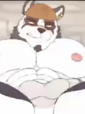 熊，狼