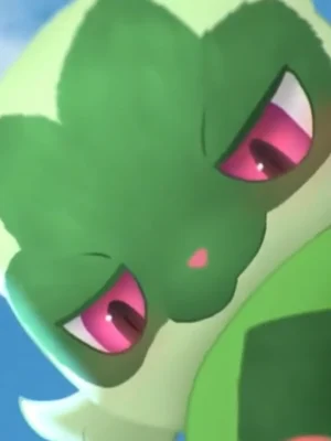 宝可梦