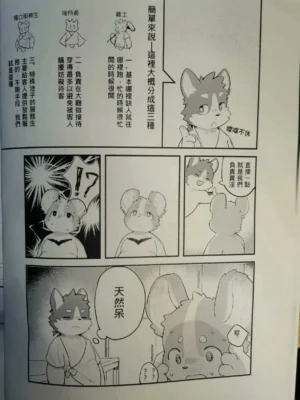 正太熊熊